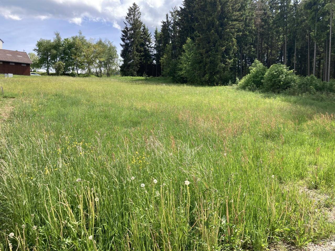 Grundstück in Gutenbrunn, Austria 1197m², Nr. 110896