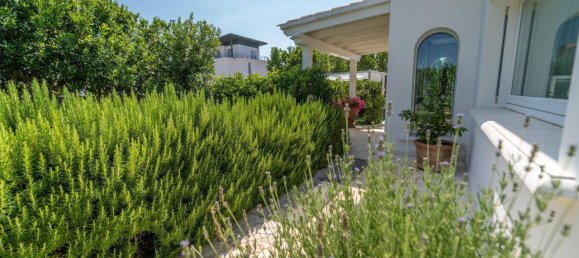 10 rooms Villa in Olbia, Italy No. 70294 22