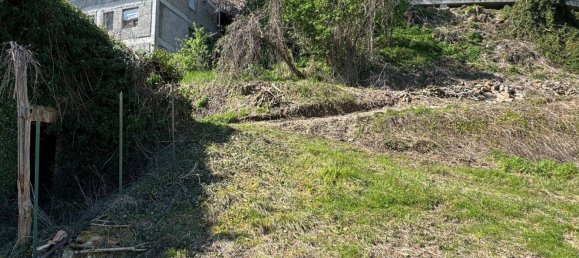 8 rooms House in Force, Italy No. 293280 14