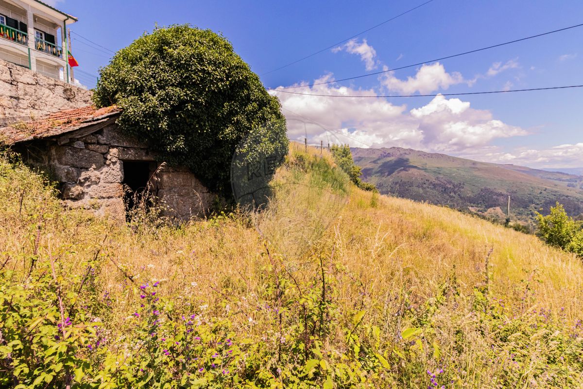 1 غرف نوم منزل في Baiao, Portugal رقم 20029
