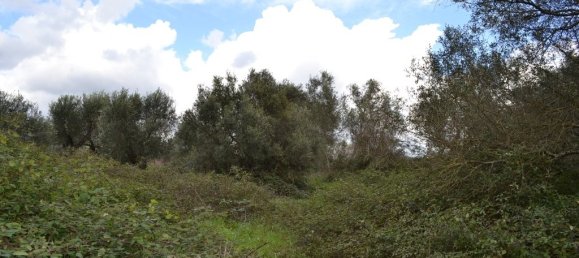 7500m² Hotel in Corfu, Greece No. 7385 4