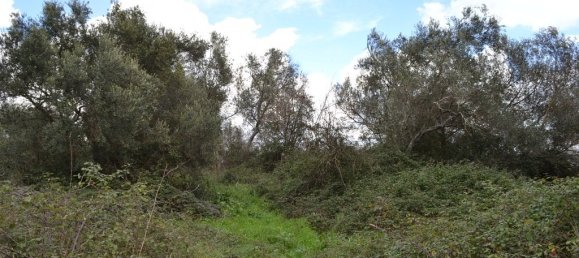 7500m² Hotel in Corfu, Greece No. 7385 6