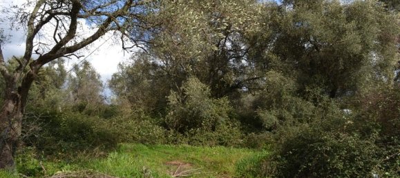 7500m² Hotel in Corfu, Greece No. 7385 2