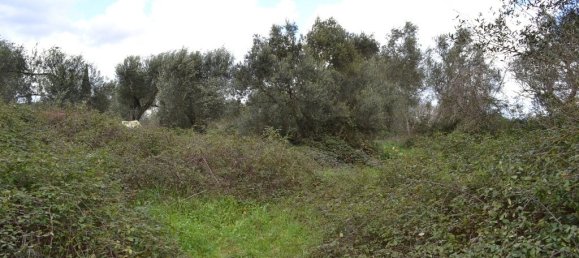 7500m² Hotel in Corfu, Greece No. 7385 7