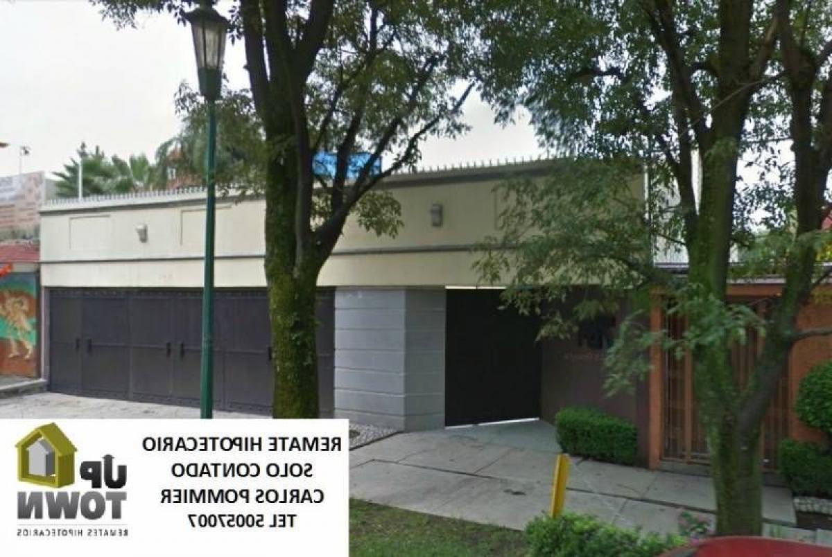 Studio à Mexico No. 219558