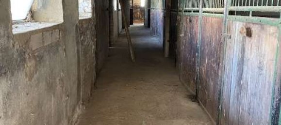 3 غرف نوم مزرعة في Duren, Germany رقم 165868 13