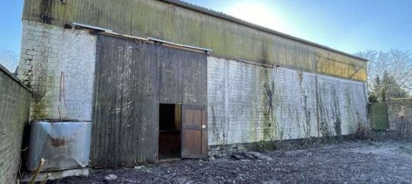 3 غرف نوم مزرعة في Duren, Germany رقم 165868 5