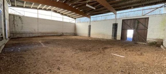 3 غرف نوم مزرعة في Duren, Germany رقم 165868 6