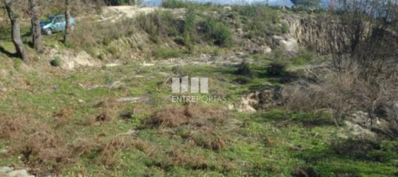 Grundstück in Baiao, Portugal 5100m², Nr. 52226 5