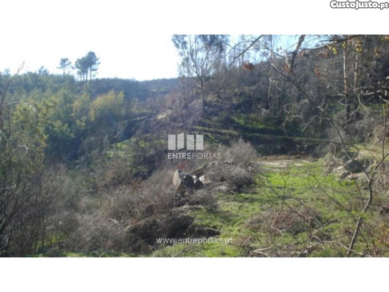 Grundstück in Baiao, Portugal 5100m², Nr. 52226