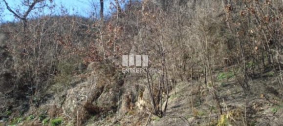 Grundstück in Baiao, Portugal 5100m², Nr. 52226 4