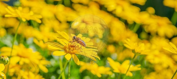 3 غرف نوم منزل في Tomar, Portugal رقم 28637 15