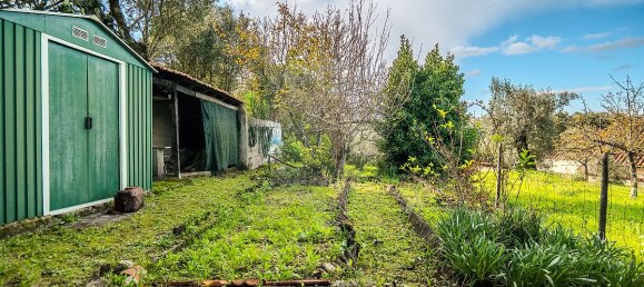 3 غرف نوم منزل في Tomar, Portugal رقم 28637 9