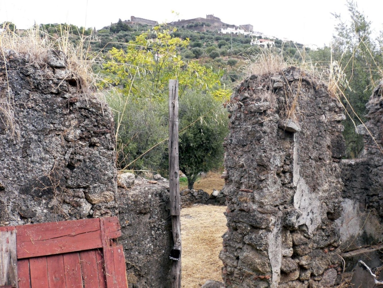 Terreno en Castelo de Vide, Portugal No. 279969