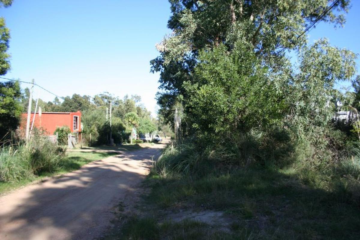 Terreno em Maldonado, Uruguay N.º 14901