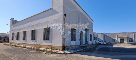 Gewerbliche Immobilie in Cavallino, Italy 2000m², Nr. 76734 14