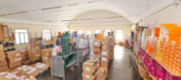 Gewerbliche Immobilie in Cavallino, Italy 2000m², Nr. 76734 40