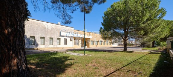 Gewerbliche Immobilie in Cavallino, Italy 2000m², Nr. 76734 29