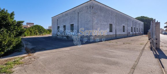 Gewerbliche Immobilie in Cavallino, Italy 2000m², Nr. 76734 25