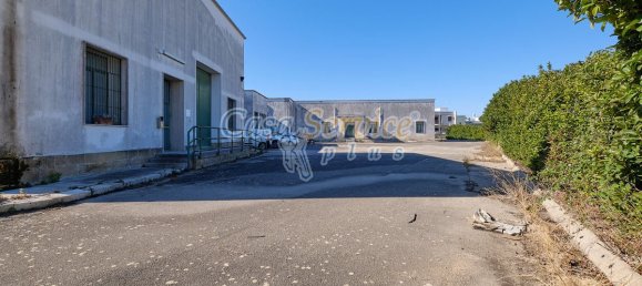 Gewerbliche Immobilie in Cavallino, Italy 2000m², Nr. 76734 12