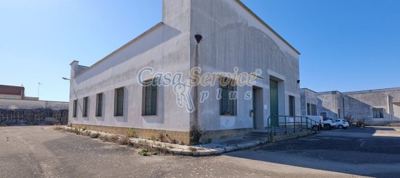 Gewerbliche Immobilie in Cavallino, Italy 2000m², Nr. 76734 13