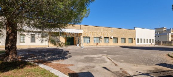 Gewerbliche Immobilie in Cavallino, Italy 2000m², Nr. 76734 28