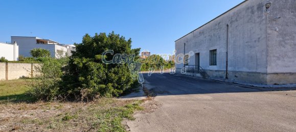 Gewerbliche Immobilie in Cavallino, Italy 2000m², Nr. 76734 26