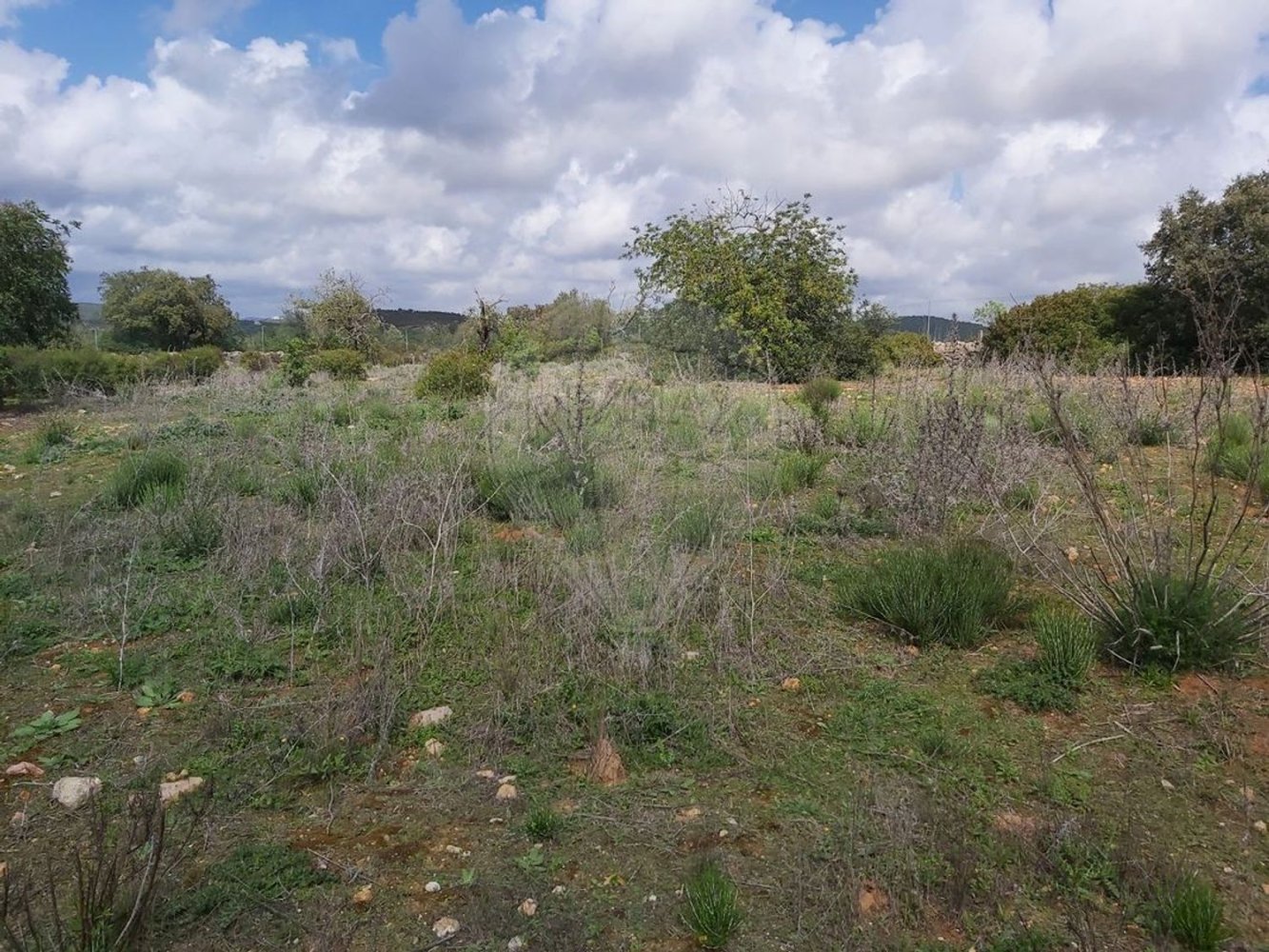 Grundstück in Olhao, Portugal 7360m², Nr. 43849