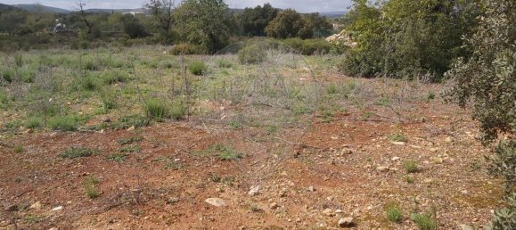 Grundstück in Olhao, Portugal 7360m², Nr. 43849 9