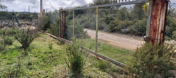 Grundstück in Olhao, Portugal 7360m², Nr. 43849 12