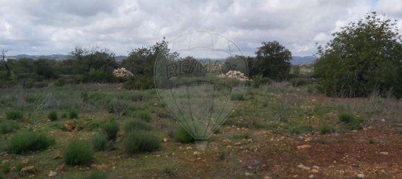 Grundstück in Olhao, Portugal 7360m², Nr. 43849 6