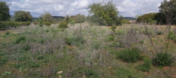 Grundstück in Olhao, Portugal 7360m², Nr. 43849 4