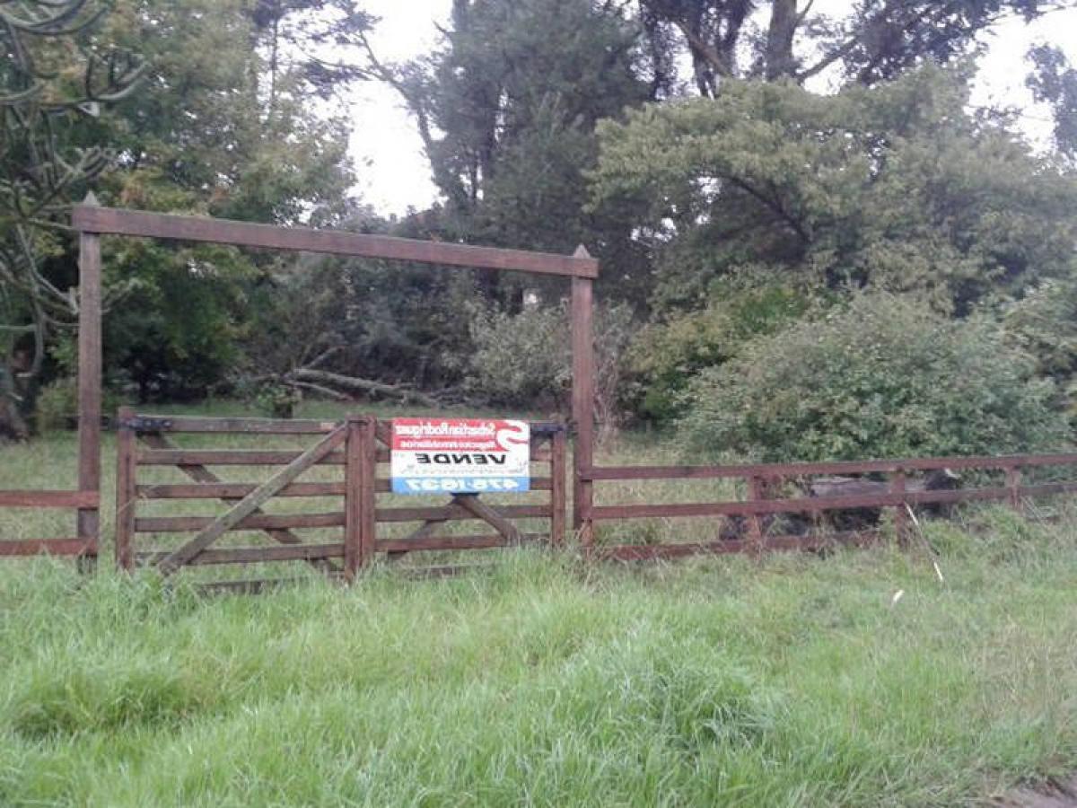  Land in Buenos Aires, Argentina No. 113475