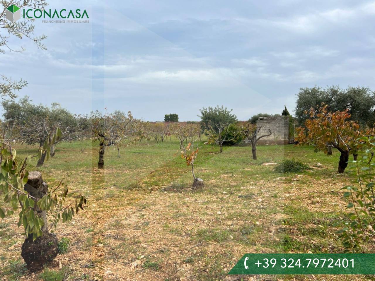 Studio in Conversano, Italy No. 23460