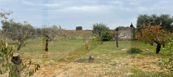 Studio in Conversano, Italy No. 23460 7