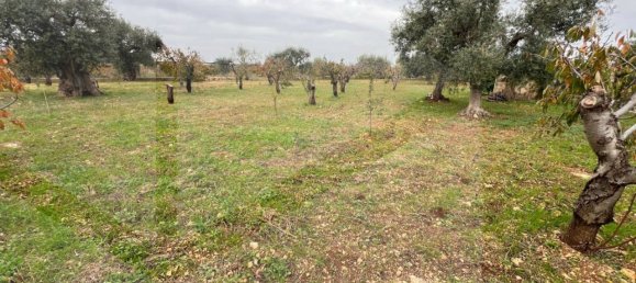 Studio in Conversano, Italy No. 23460 6