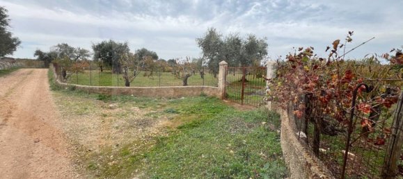 Studio in Conversano, Italy No. 23460 3