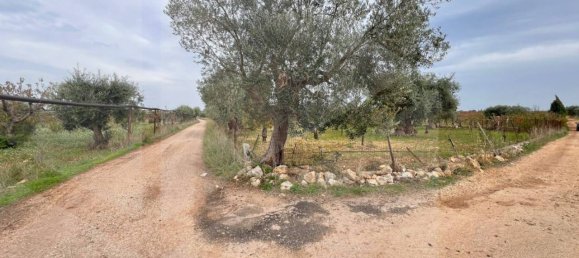 Studio in Conversano, Italy No. 23460 4