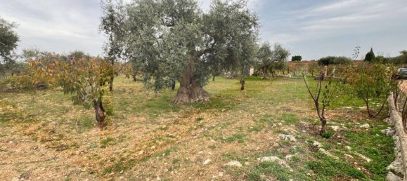 Studio in Conversano, Italy No. 23460 5