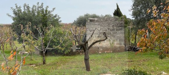 Studio in Conversano, Italy No. 23460 2