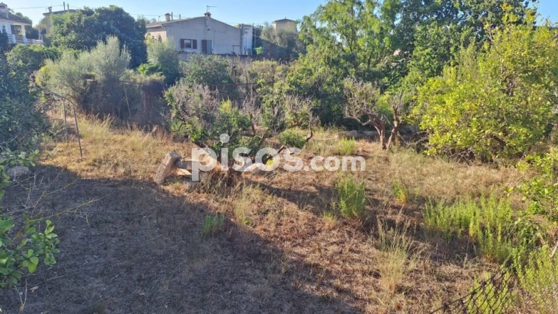  Land in Sant Llorenc Des Cardassar, Spain No. 241582