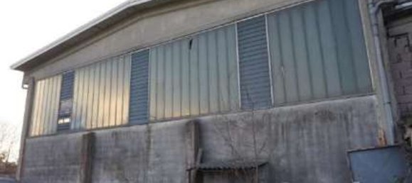 Lagerhaus in Commessaggio, Italy 335m², Nr. 378499 8