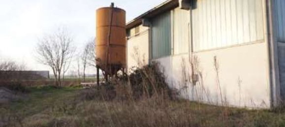 Lagerhaus in Commessaggio, Italy 335m², Nr. 378499 7