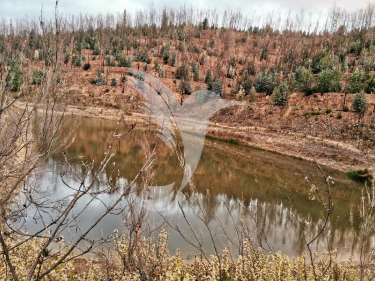 Земельный участок в Силвиш, Португалия № 8823