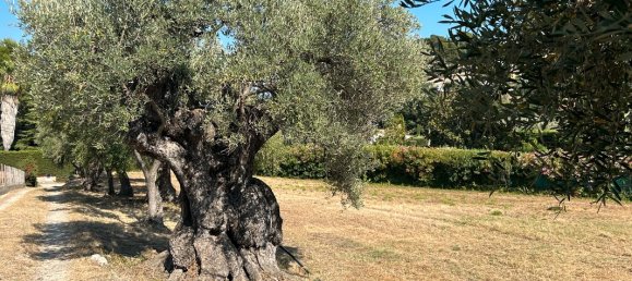 قطعة أرض في Ollioules, France رقم 343374 3