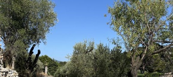 قطعة أرض في Ollioules, France رقم 343374 2