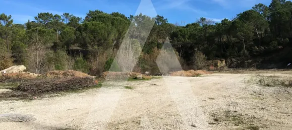 4950m² Land in Coimbra, Portugal No. 73990 2