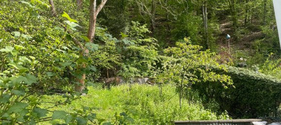 2 bedrooms House in Saalfeld-Rudolstadt, Germany No. 149310 6