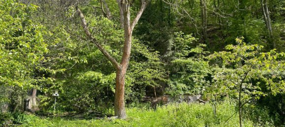 2 bedrooms House in Saalfeld-Rudolstadt, Germany No. 149310 7