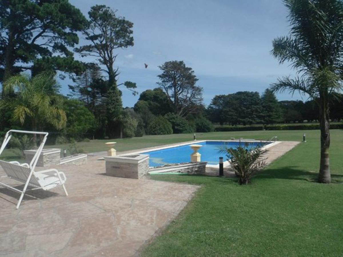 2 bedrooms House in Mar del Plata, Argentina No. 97487